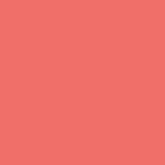 Touch Twin Brush Marker - Coral Pink R16