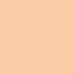Touch Twin Brush Marker - Salmon Pink Yr25