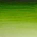 Akvarellfrg W&N Professional Helkopp - 503 Permanent sap green