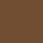 Touch Twin Brush Marker - Raw Umber Br102