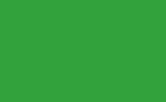 Frgpenna Polychromos - 163 Emerald Green