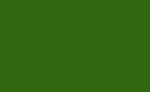 Frgpenna Polychromos - 165 Juniper Green
