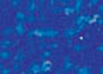 Oljepastell Sennelier 5 ml - Cobalt Blue (004)
