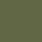 Touch Twin Brush Marker - Olive Green Dark Y225