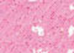 Oljepastell Sennelier 5 ml - Pale Pink Madder Lake (077)