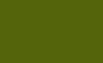 Pastellpenna PITT - 174 Chromium Green Opaque
