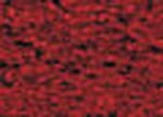 Pigment Sennelier 110G - Red Brown (-B 405)