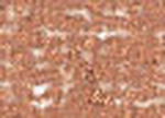 Oljepastell Sennelier 5 ml - Red Copper (115)