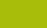 Akvarellpenna Albrecht Drer - 168 Earth Green Yellowish