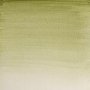 Akvarellmaling W&N Professional 14 ml Tub - 638 Terre Verte (Yellow Shade)