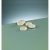 Knappeform i tre 30 mm - 50-pakning - bleket rund, cupped Knappeform i tre 30 mm - 50-pakning - bleket rund, cupped