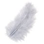 Maraboufj�drar 10 cm, 15-pack