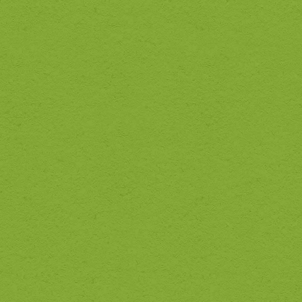 My Color Cardstock Heavyweight 30,6x30,6 cm 270g - Krispig grön - Design & motivark, Scrapbooking, Pyssla