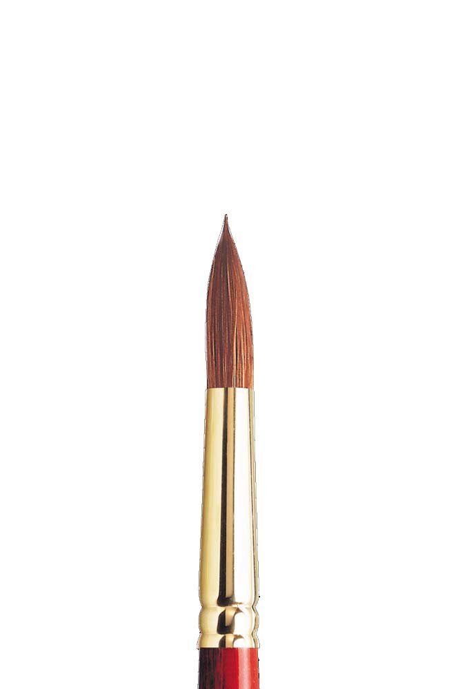 Blandepensel W&N Scepter Gold II Serie 101 - Nr. 10 - Akvarelpensler, Pensler