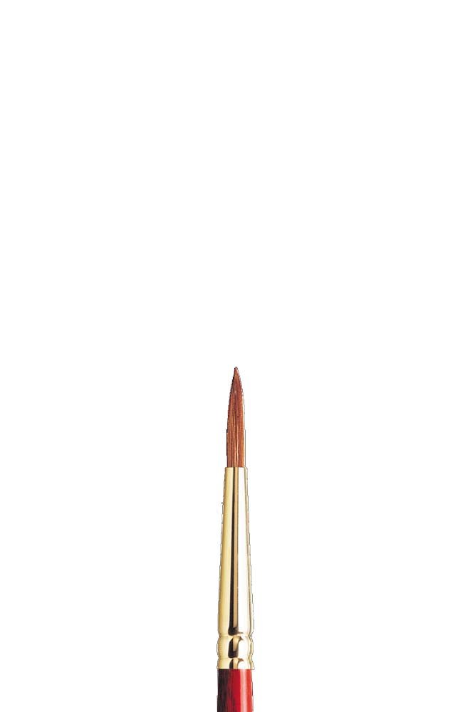 Blandepensel W&N Scepter Gold II Serie 404 - Nr. 4 - Akvarelpensler, Pensler