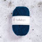 Fjallalopi - Polar Night