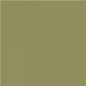 Spraymaling Molotow Belton Premium 400 ml - amazonas 171