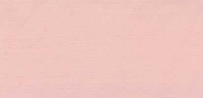 Akrylmaling Lukas Cryl Terzia 500 ml - Flesh Colour (4822) - Akrylfarver, Kunstnerfarver