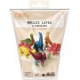 Formar i latex för gjutning av dinosaurier, 6-pack Formar i latex för gjutning av dinosaurier, 6-pack