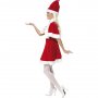 Frken tomte maskeraddrkt - Medium