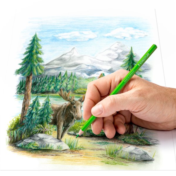 F�rgpennor Staedtler 146C 12 st Sorterade - Metalletui