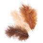 Fj�drar i blandade bruna nyanser 10 cm, 15-pack