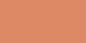 Akrylfärg Sennelier 60 ml - Flesh Ochre (250) - Akrylfärger, Konstnärsfärger