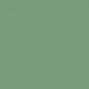 ONE4ALL Acrylic TWIN - amazonas light 205