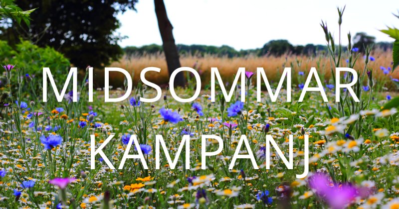 MIDSOMMAR-KAMPANJ