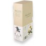 Tombow Irojiten Rainforest farveblyanter 30 stk.