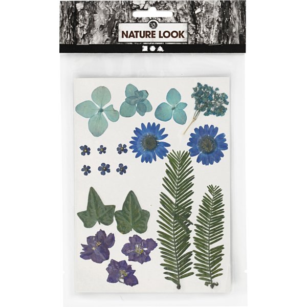 Torkade blommor och blad - blå Torkade blommor och blad - blå