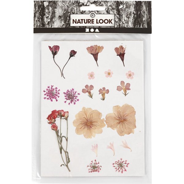 Torkade blommor och blad - ljusrosa Torkade blommor och blad - ljusrosa