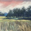 Kundebillede Soft Pastel Sennelier sæt med 80 1/2 kridt