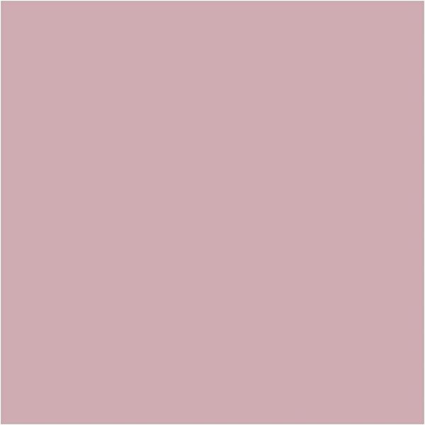 Plus Color Hobbyf�rg - dusty rose - 60 ml