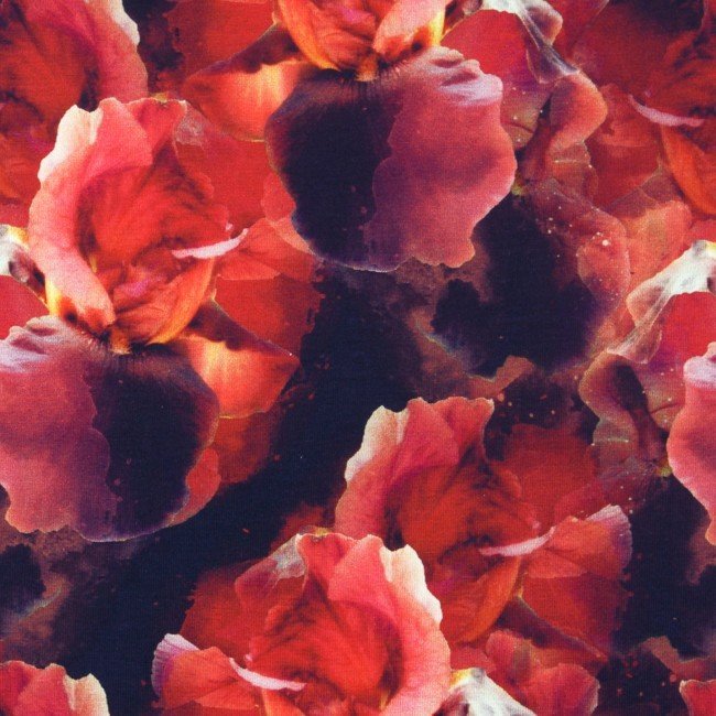 Jersey med print - Digi Mix Auva - Drømmeblomst - Rød - Digitalt print strik, Strikstof, Stof