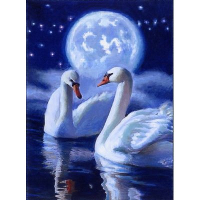 DiamondArt 19x27 cm - Mystic swans