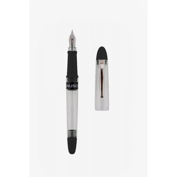 Fyllepenn Clarity Fountain Pen