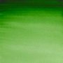 Akvarellmaling W&N Professional Halvkopp - 311 Hooker's green