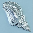 Smycke 15 x 32 mm - silverfrgad skal