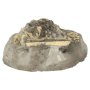 Experimentset Vulkan och Dinosauriefossil 16 x 11 x 8,5 cm - 6+ år Experimentset Vulkan och Dinosauriefossil 16 x 11 x 8,5 cm - 6+ år