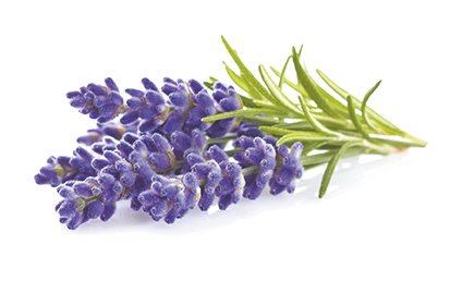 Doftolja för ljus 27 ml - lavendel Doftolja för ljus 27 ml - lavendel