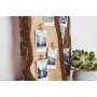 Guldkl�mmor f�r st�ngning och dekoration 8-pack