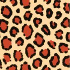 Color-Dekor frgfolie 180 C 100 x 200 mm - leopard 2 st