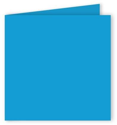Pollen Dubbelkort 160x160- 25-pack - Intensiv bl