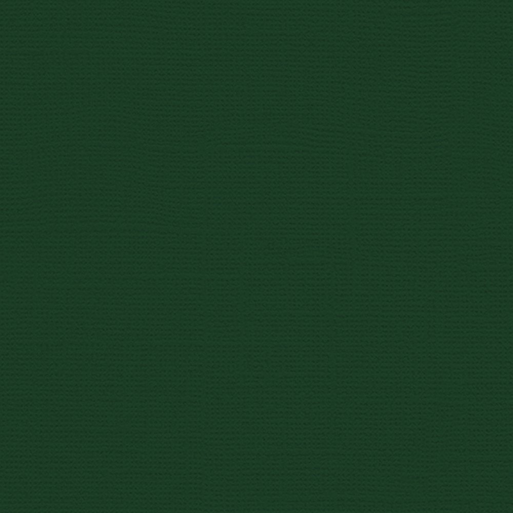 My Color Cardstock Canvas 30,6x30,6 cm 216 g - Stedsegrøn - Design & motivark, Scrapbooking, Håndværk