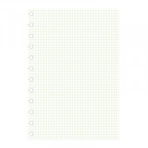 Refill till Filofax Anteckningsbok - A4 Refill till Filofax Anteckningsbok - A4