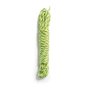 Creacord kiwi nylonlina 3 meter Creacord kiwi nylonlina 3 meter