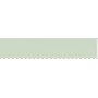 Fargeblyant Caran DAche Artist Pablo - Ash Grey (401)