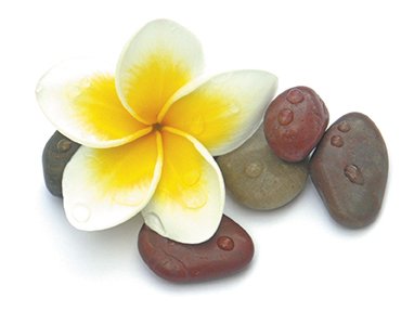 Doftolja till ljus 27 ml - tropiska blommor Doftolja till ljus 27 ml - tropiska blommor
