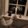 Kundbild Schabloner dinosaurier: Dinosaurieschabloner med filmjölk,